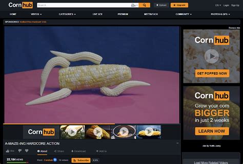 orbhyb|cornhub com.